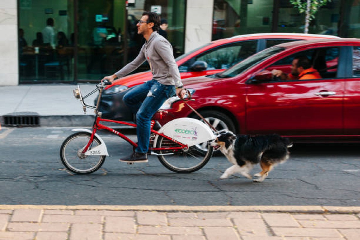 earth friendly ways to run your car