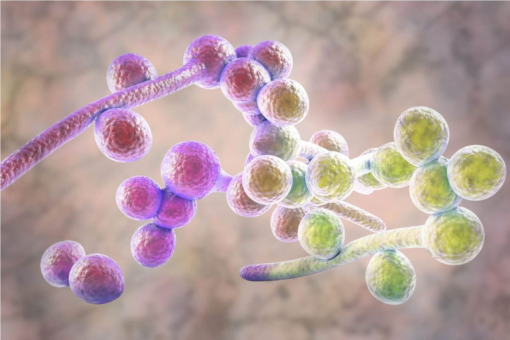 Is There a Connection Between Fungal Infections and the Onset of Cancer