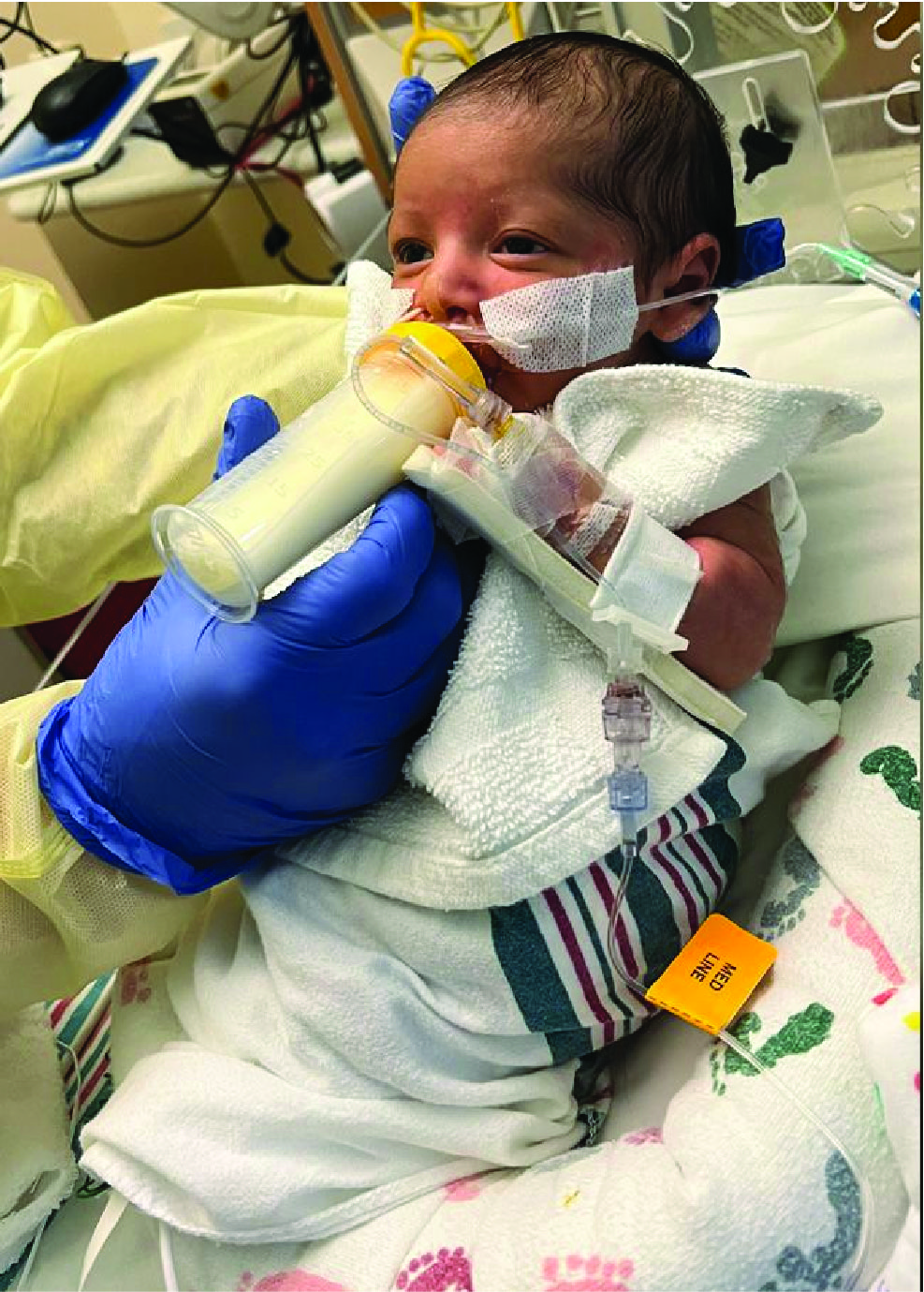 their recommendations regarding