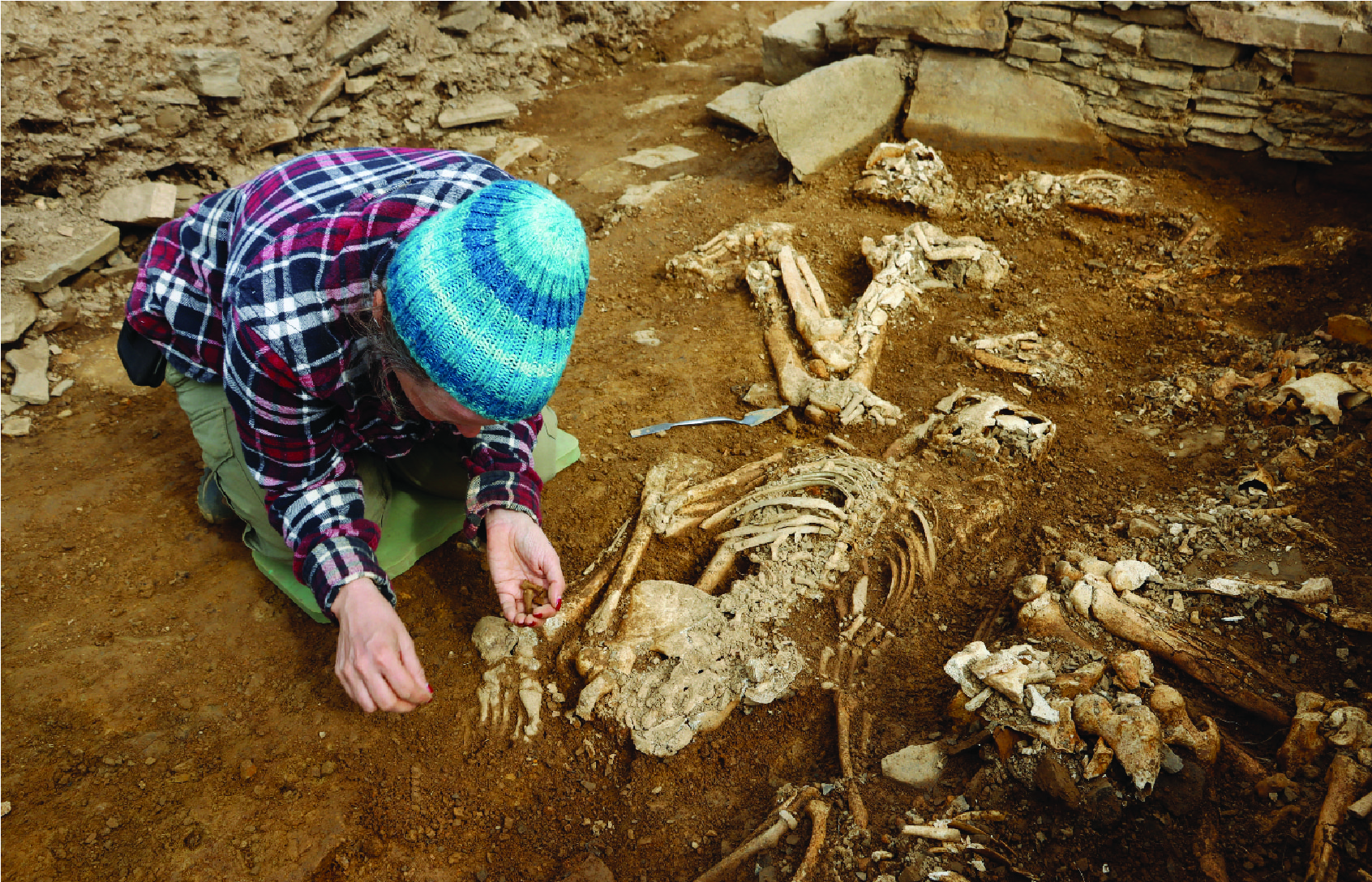 a remarkable discovery