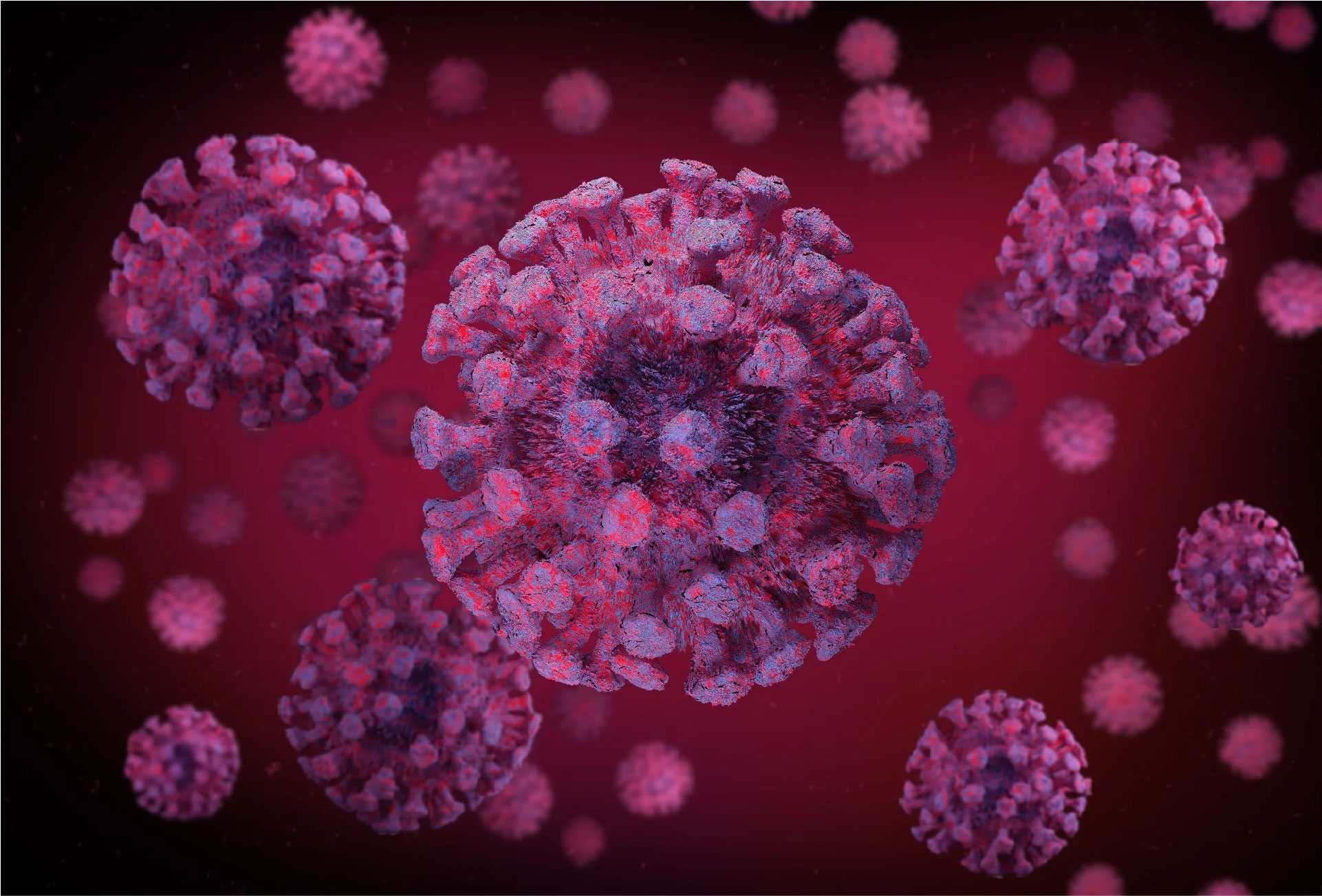 This new study suggests