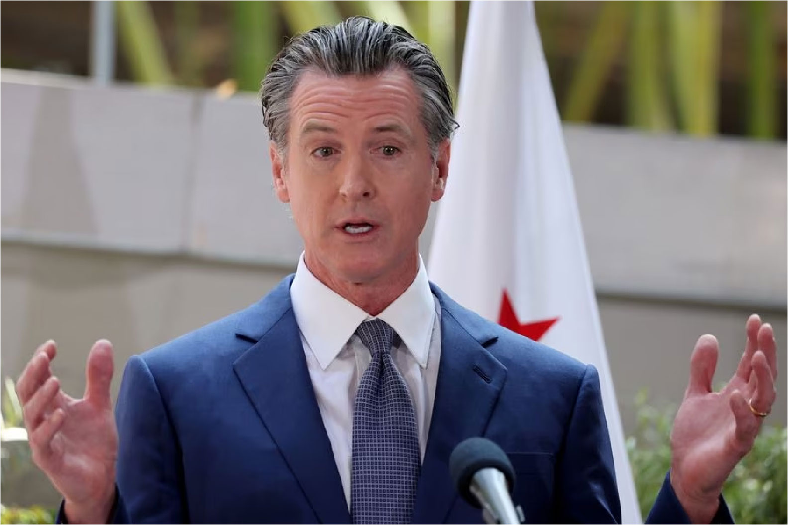 Newsom exercised his veto