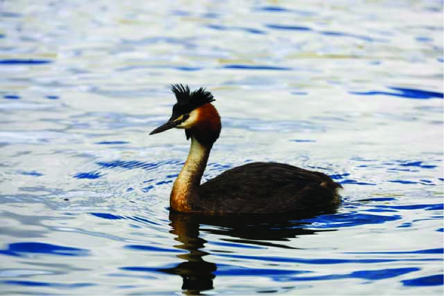 a significant margin