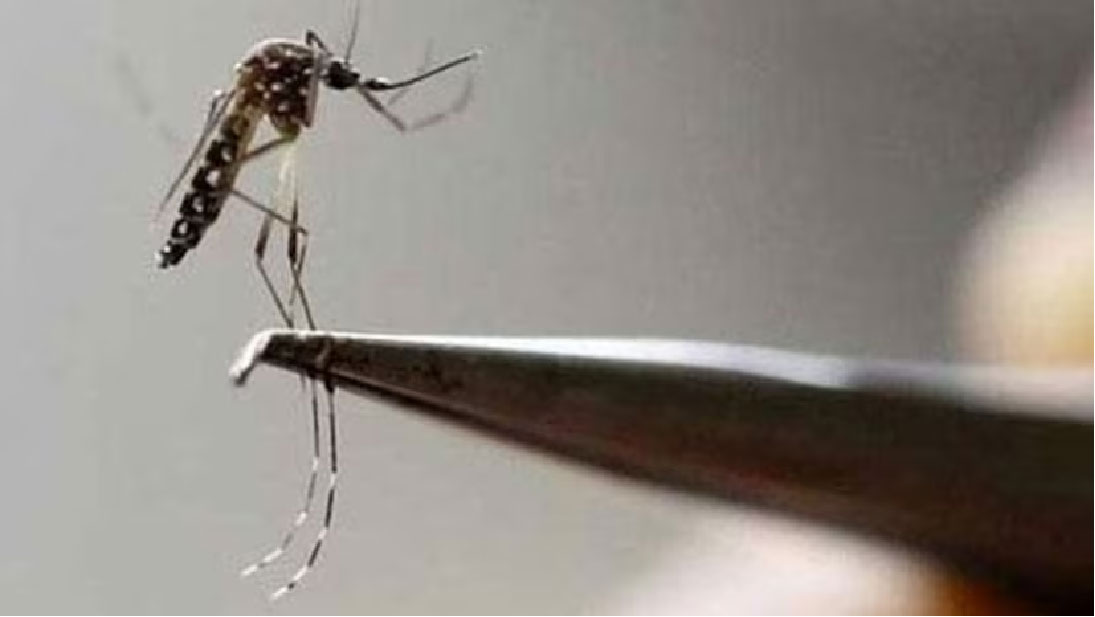 Two individuals in Southern