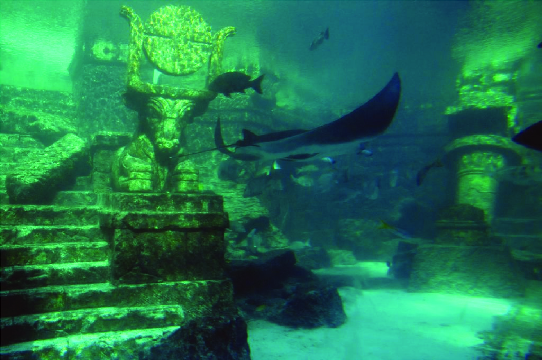 underwater mountain west