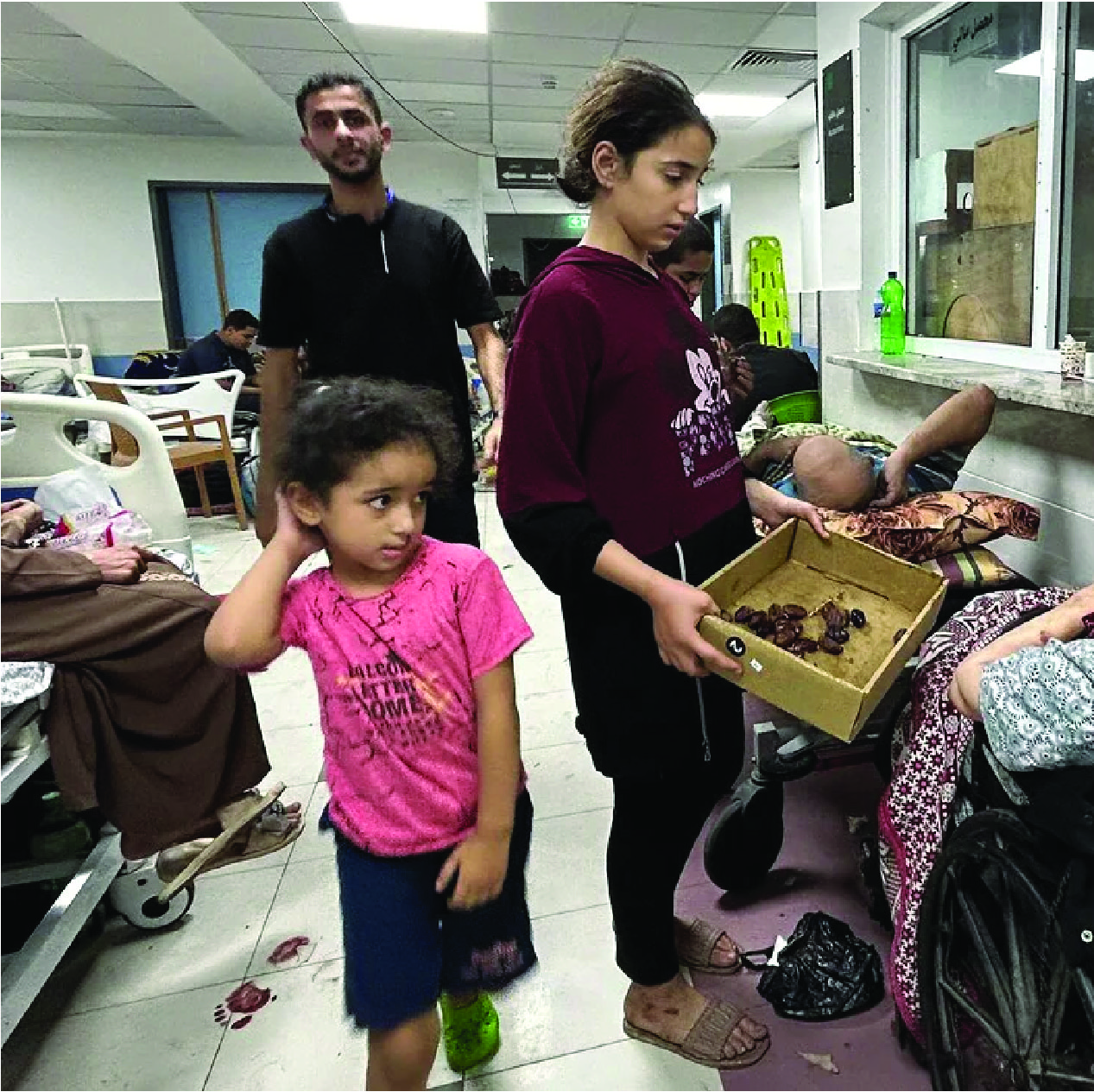 Gaza Strip and taken