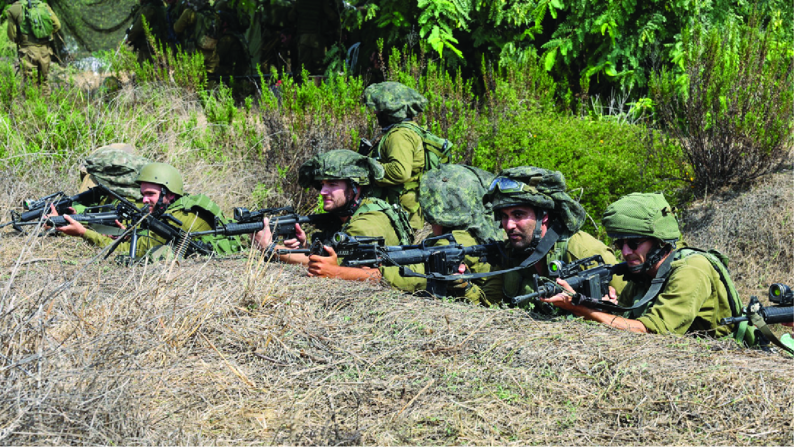 The Israel Defense Forces