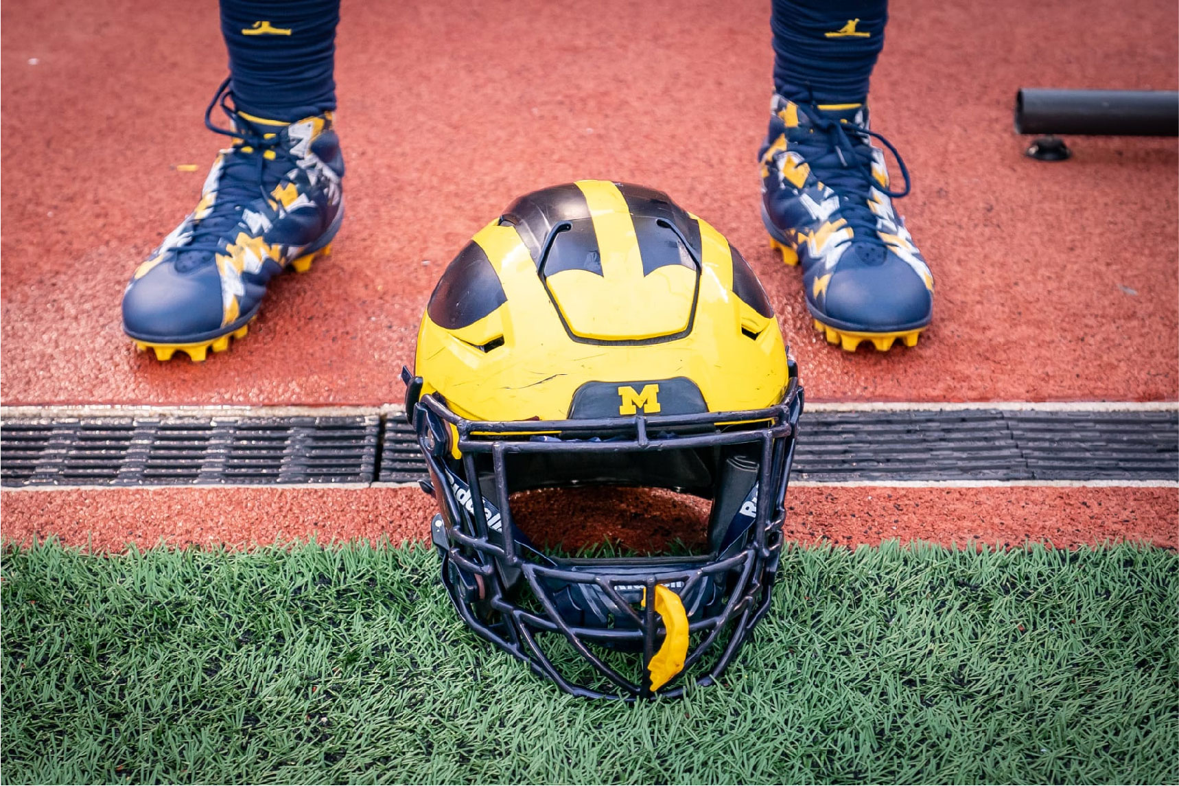 the Michigan Wolverines