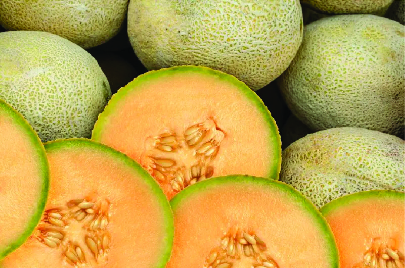 US Centers for Disease