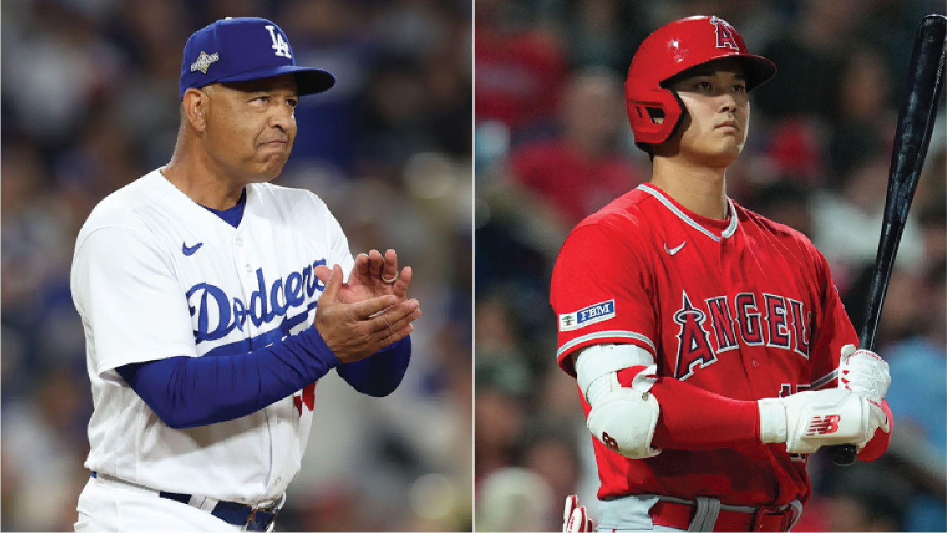 the Winter Meetings
