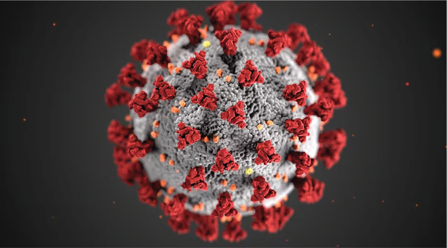 The Centers for Disease