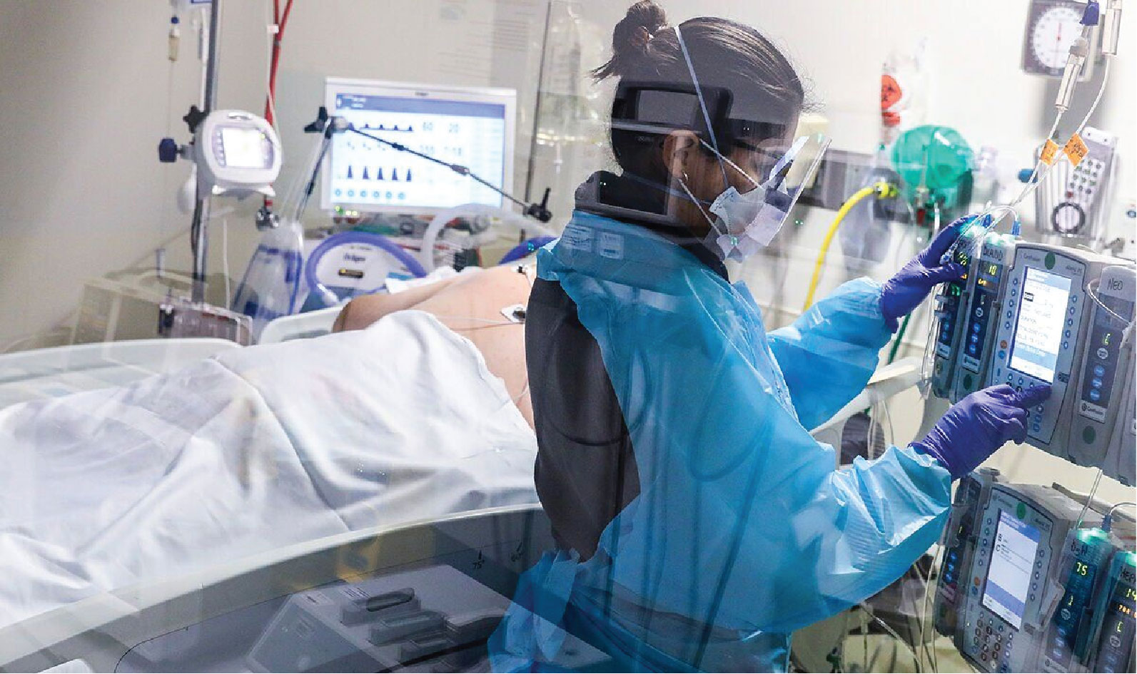 When Mollee Campbells