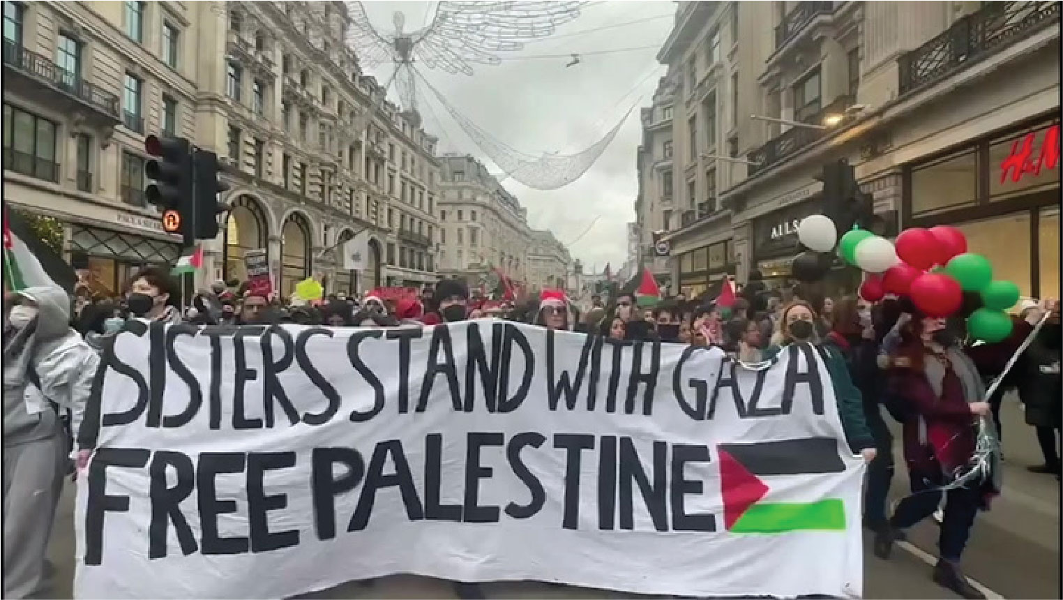 Pro Palestinian protestors