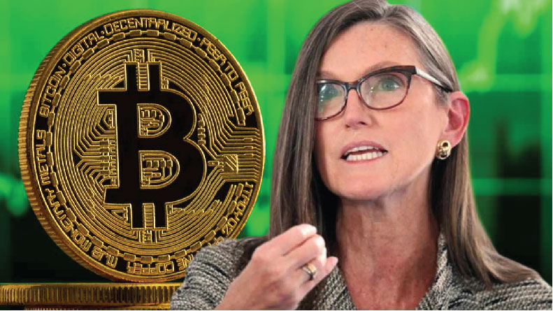 Industry expert Cathie