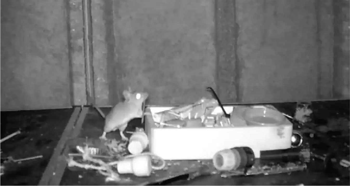 When retired postman